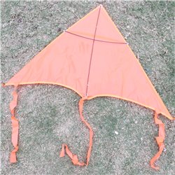 Delta Polyester Kite