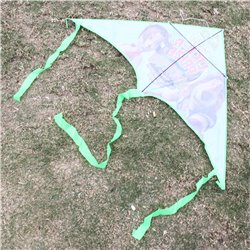 Delta Kite With Tail