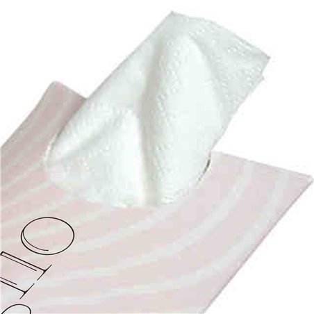 Pocket Pillow Pack Facial Tissue