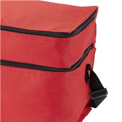 Double Compartment Lunch Cooler Bag