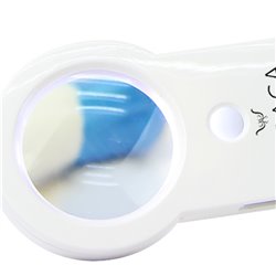 USB Hub Led Illuminated Magnifier