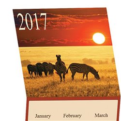 Unique Tri-Fold Calendar